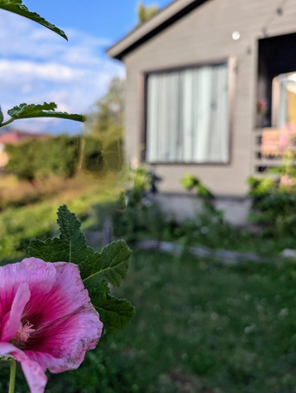 Cottage Kazbegi Sioni Екстер'єр фото